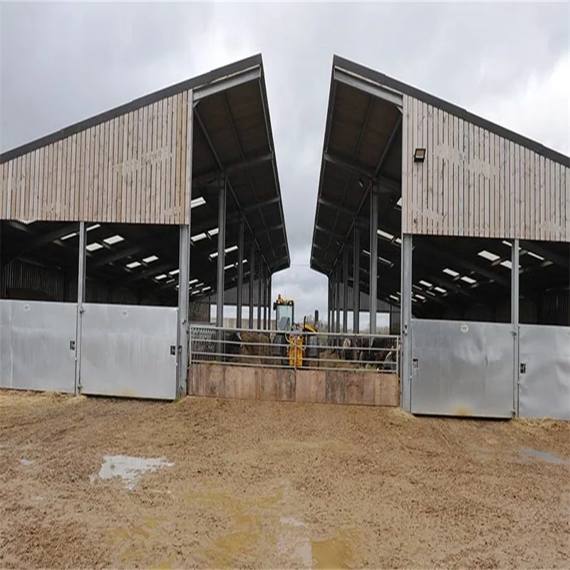 Modern Design Steel Structure Cow Cattle Dairy Milking Farm Goat Farming House  Shed Building