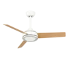 caqui