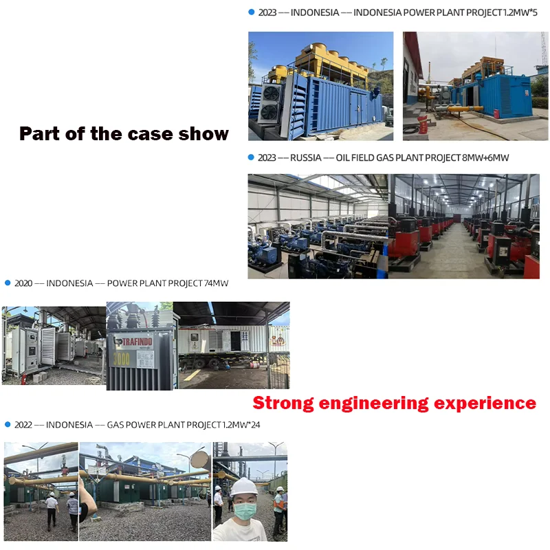 Quality Methane Purification Plant 80Kw Easy Operation Membrane Separation Biogas Generator Set