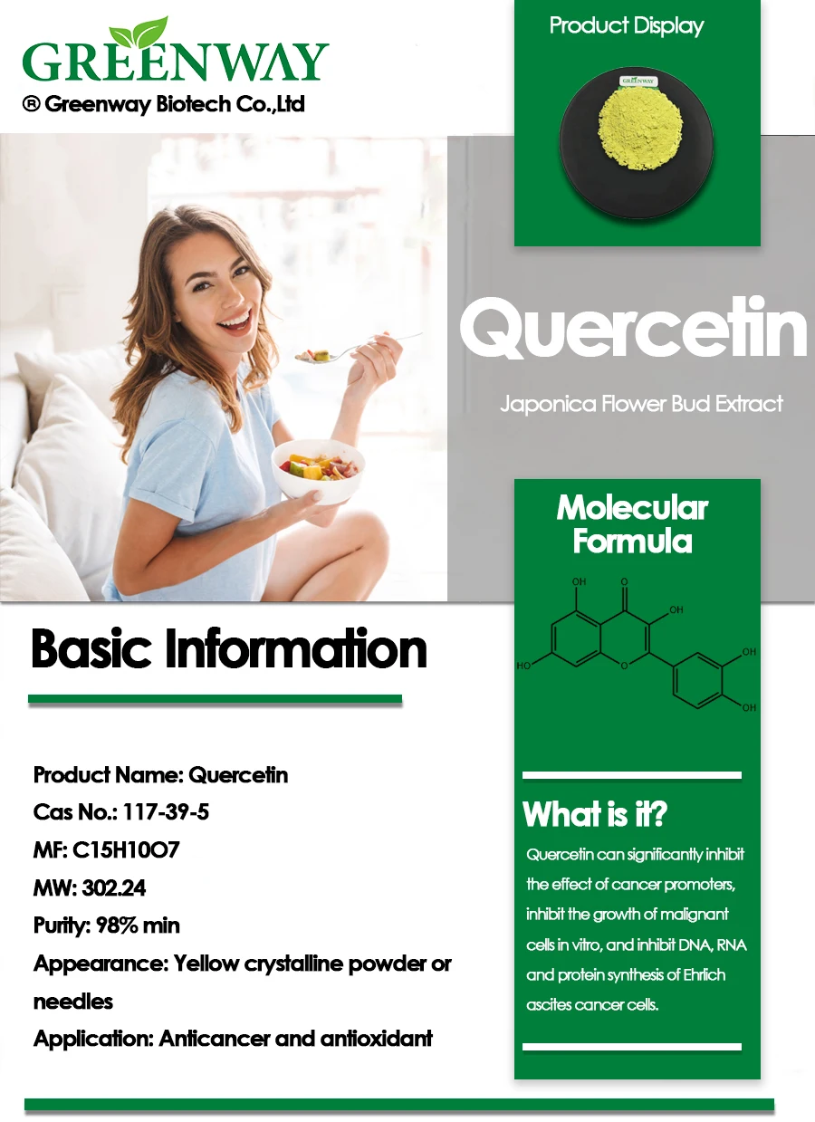  Pharmaceutical Grade Natural Organic Japonica Flower Bud Extract Cas 117-39-5 98% Quercetin Powder