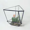 Geometria del triangolo