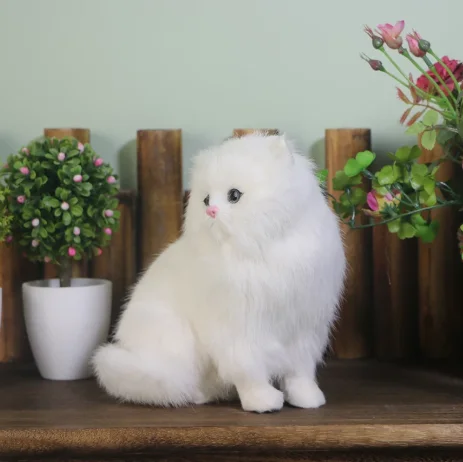 fluffy white persian cat