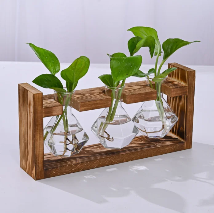 Glass and Wood Vase Planter Terrarium TableHydroponics Plant Bonsai Flower Pots 