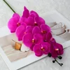 สีแดงม่วง