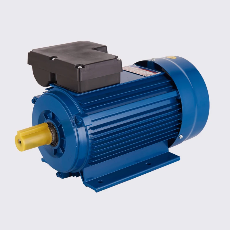 220V Single Phase Capacitor Start AC Induction Motor Waterproof Enclosed 50/60Hz Frequency Asynchronous Motor