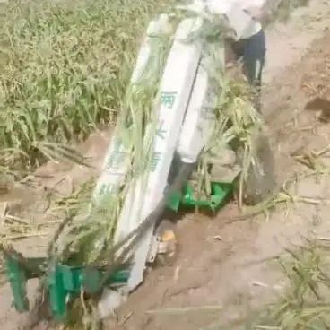 High Efficiency Save Labor Garlic Excavator Harvester Machine With Rhizome Cutting Functions