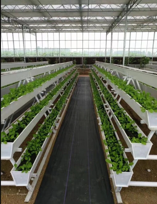 hydroponic vertical tower