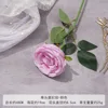 K-Princesa de una sola cabeza Rosa-Rosa