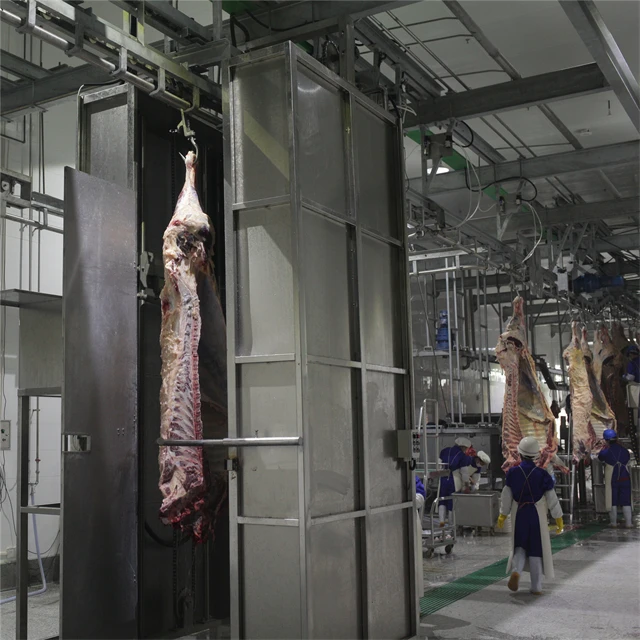 250 Cattle Hour Halal Meat Processing Humane Beef Slaughterhouse