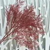 Claret