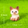 Siamese Cat