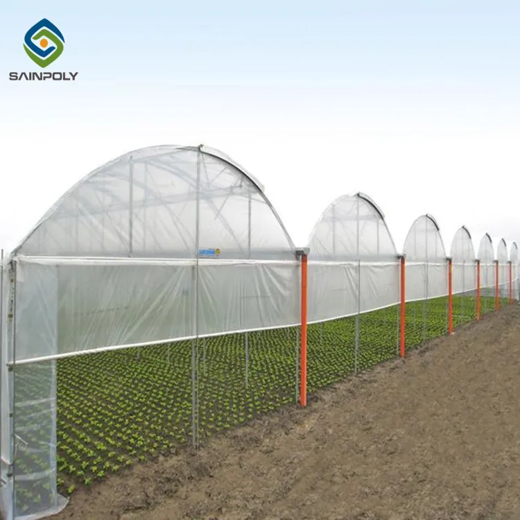 Sainpoly Low Cost Multi Span Greenhouse Agricultural Equipment  Autom 40x100 Film Greenhouse for Sale