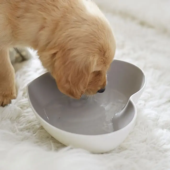 petbarn dog bowls