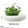 Pebble flower pot-large white