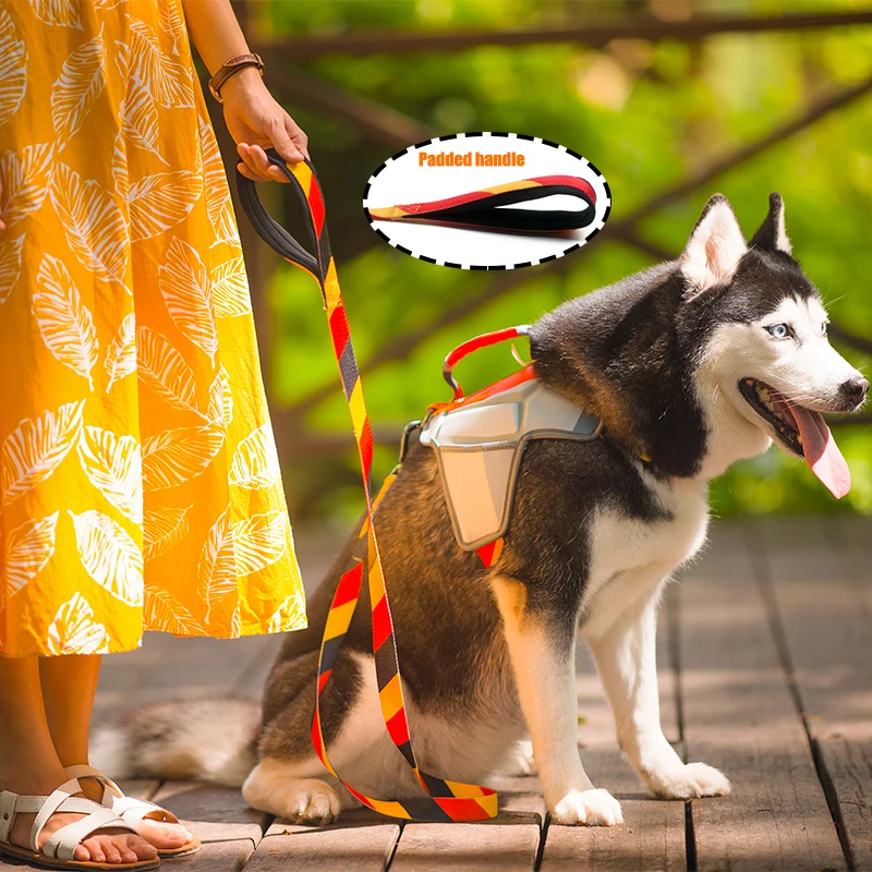 Стильный красный синий поводок для бега с логотипом собаки заготовки для сублимации карабин ремень для питомца с мягкой ручкой