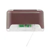 Brown-shell Colored-light (with adhesive stickers