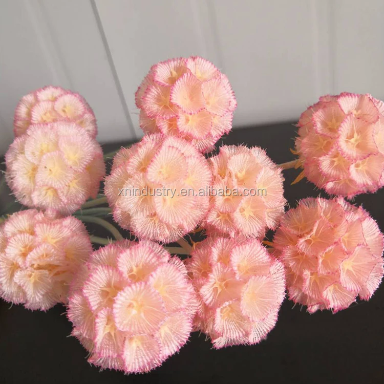 Flower Base Direct Sales Touch Candied Flowers Windmill Fruit Pristimera Cambodia Flowers