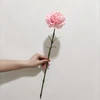 สีชมพู
