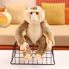 Monkey Plush