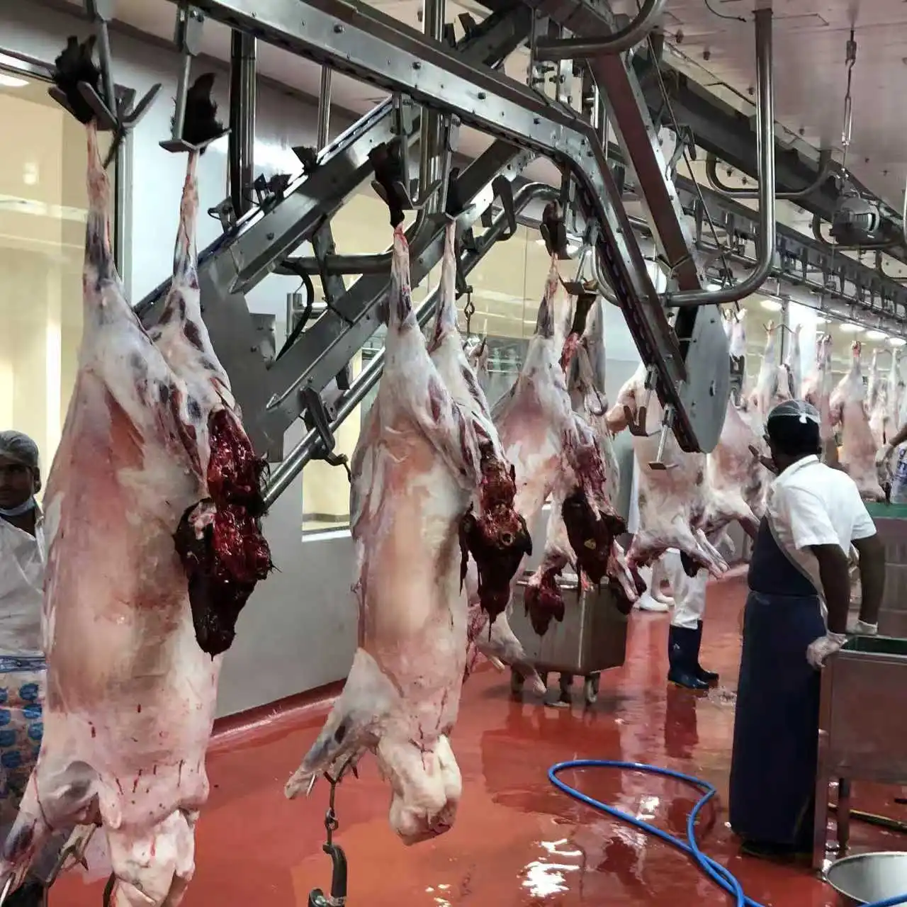 Complete mutton processing and sheep slaughterhouse solutions including cold storage and freezing facilities