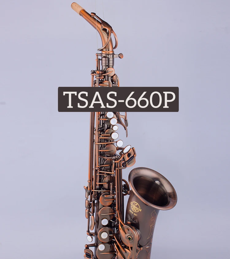 Professional musical instrument Alto saxophone