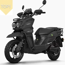 High Quality Two-wheel Electric Motorcycle 2000W Motor 20AH Lead-acid Battery Range of 60KM