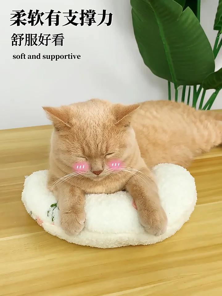 Little Pillows For Indoor Cats Ultra Soft Fluffy Pet Cat Calming Toy ...