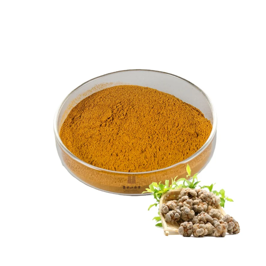 Panax Notoginseng Notoginsenoside 5-80% Powder Natural Plant Extract Factory Supply Herbal (Tienchi) / Three-Seven Root Extract