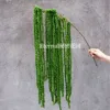 Hilo verde oscuro colgando arroz