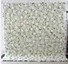 F110 flower wall