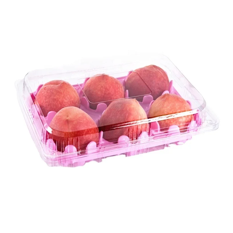 Disposable Accept Custom Peach Boxes Disposable Fruit Plastic Packaging Tray for Fresh Peaches Storaging