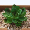 Loto feliz verde