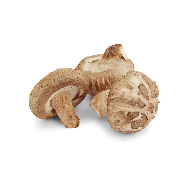 Первичный цвет Shiitake без серы, без выбора, волшебный растущий гриб Shiitake, закуска