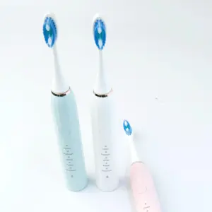 Daily Care Electric Toothbrush 6 Modle Three Interchangeable Brush Heads Customizable Packaging