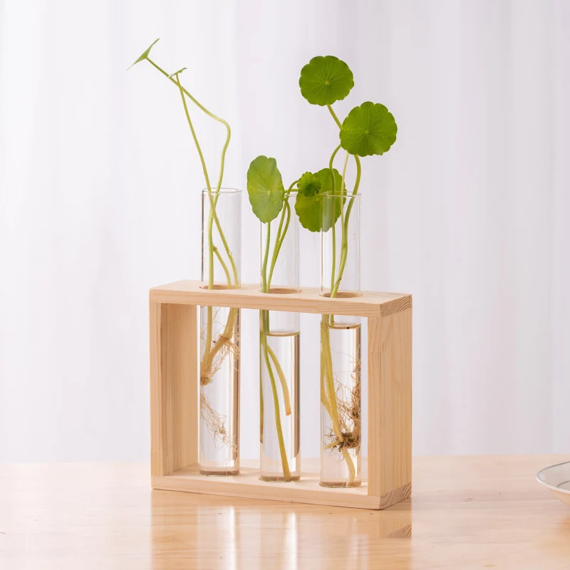 Desktop Hydrokultur-Vase Mit Katzen-Ständer – Glas & Metall, Gold, Für Sukkulenten & Pflanzen-Deko