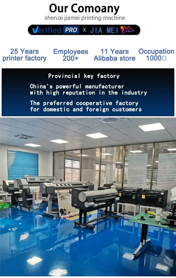 Hot Selling 60cm Xp600 I1600 I3200  Pet Film Transfer T Shirt Printer DTF Printer with Powder Shaker and Oven supplier