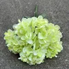 15 #6 tête finlandais hortensia-vert