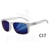 ZD9102 Polarized -C17