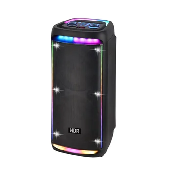 Portable party speaker dual 10 inch home audio music player with wireless microphone karaoke system function  NDR-930