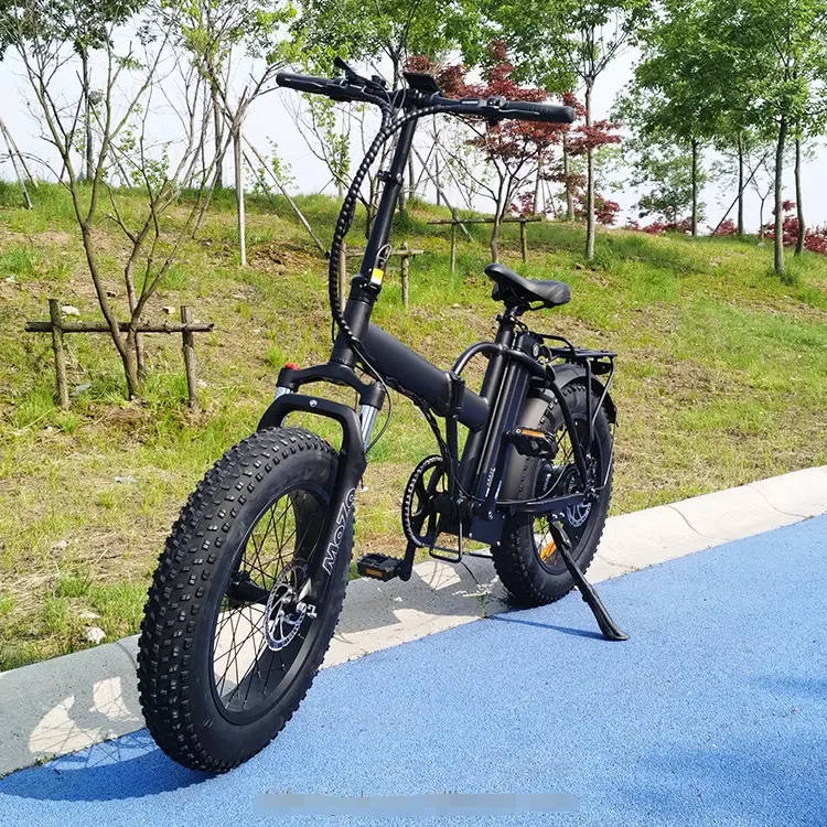 750W Electric Bike Fat Tire, Big Power, Dual Use