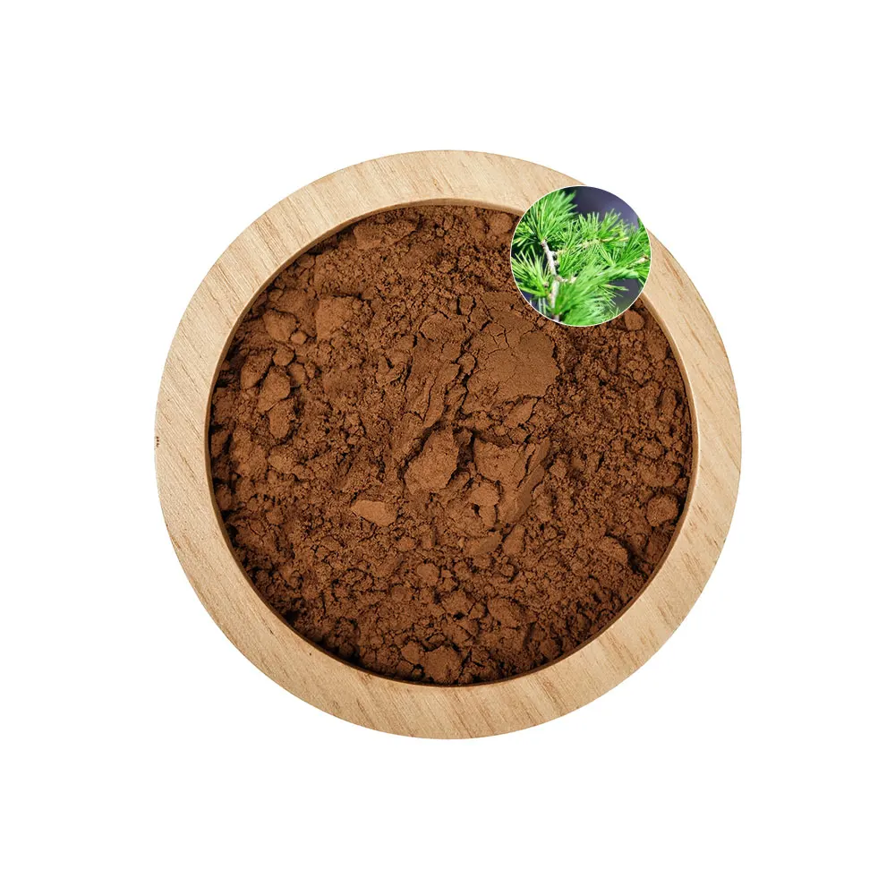 Natural Pine Needle Extract Powder Skin Care Herbal Extract Pine Needle Powder