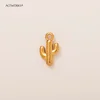 Charme de cactus.