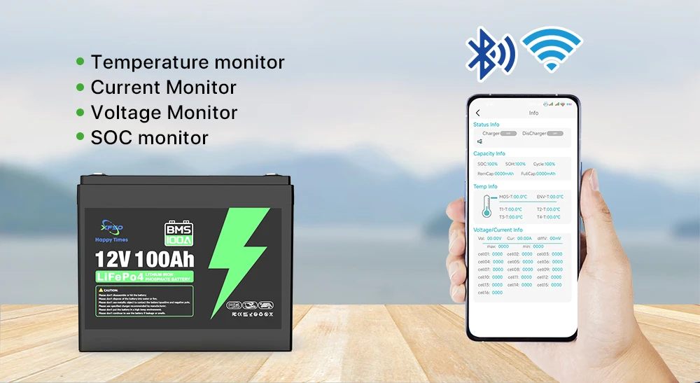 12v 100ah lead to lithium batteries-5