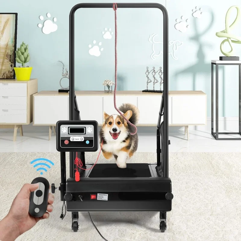 Doggy Treadmill Used Dogpacer Treadmill For Sale Firepaw Used Dog