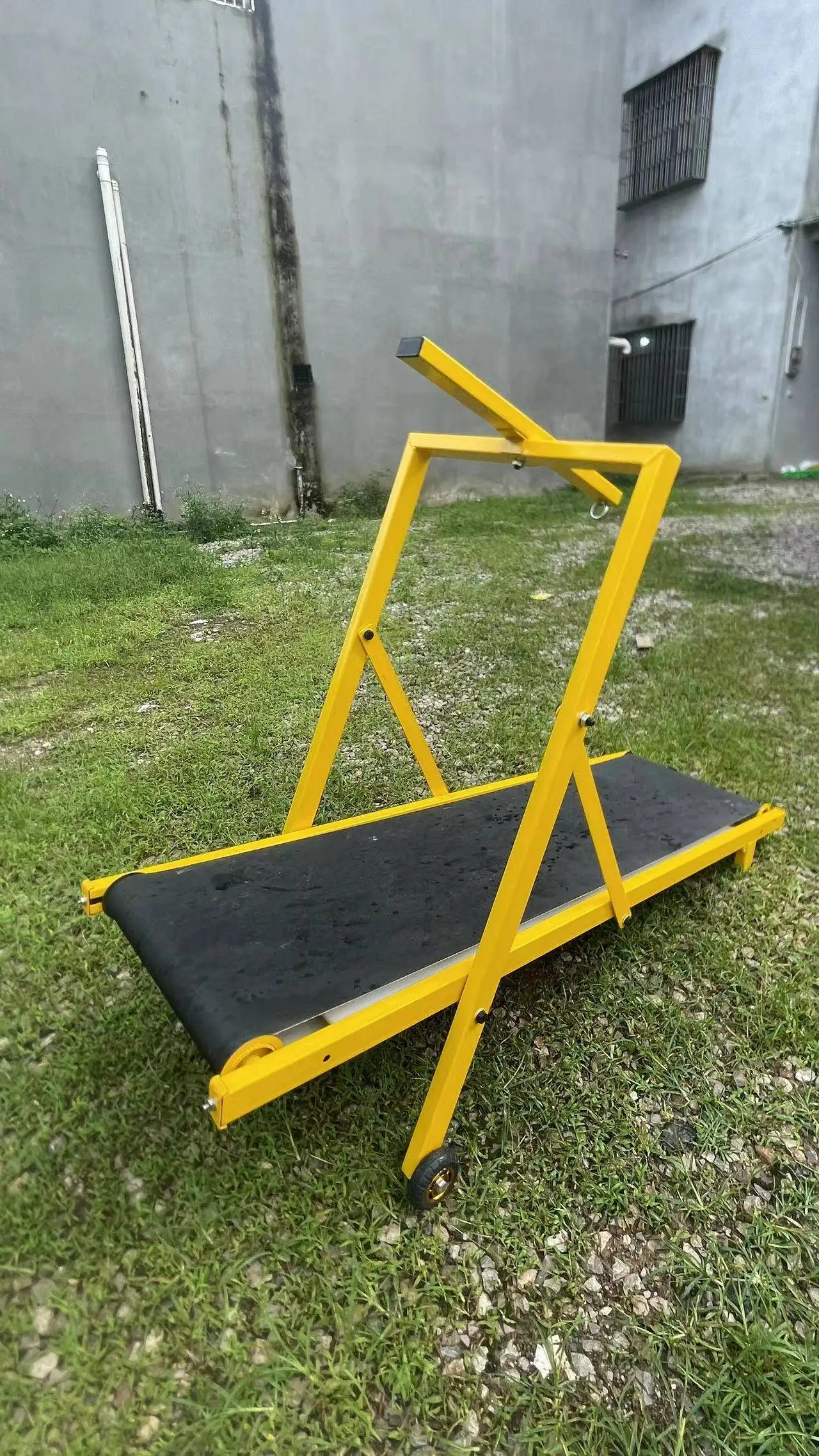 Alipet Smile Custom Safe and Heavy Duty Carpet Mill Dogs