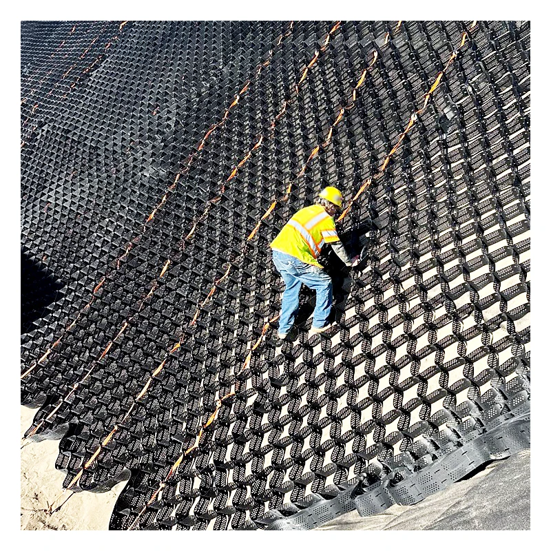 HDPE Geocell Gravel Stabilizer 50mm 200mm Manufacturer's Price for Ground Grid for Farm Land Walkway Driveway Road Strengthening