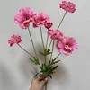 Nouveau 6 têtes rose rouge