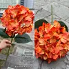 #5 Naranja