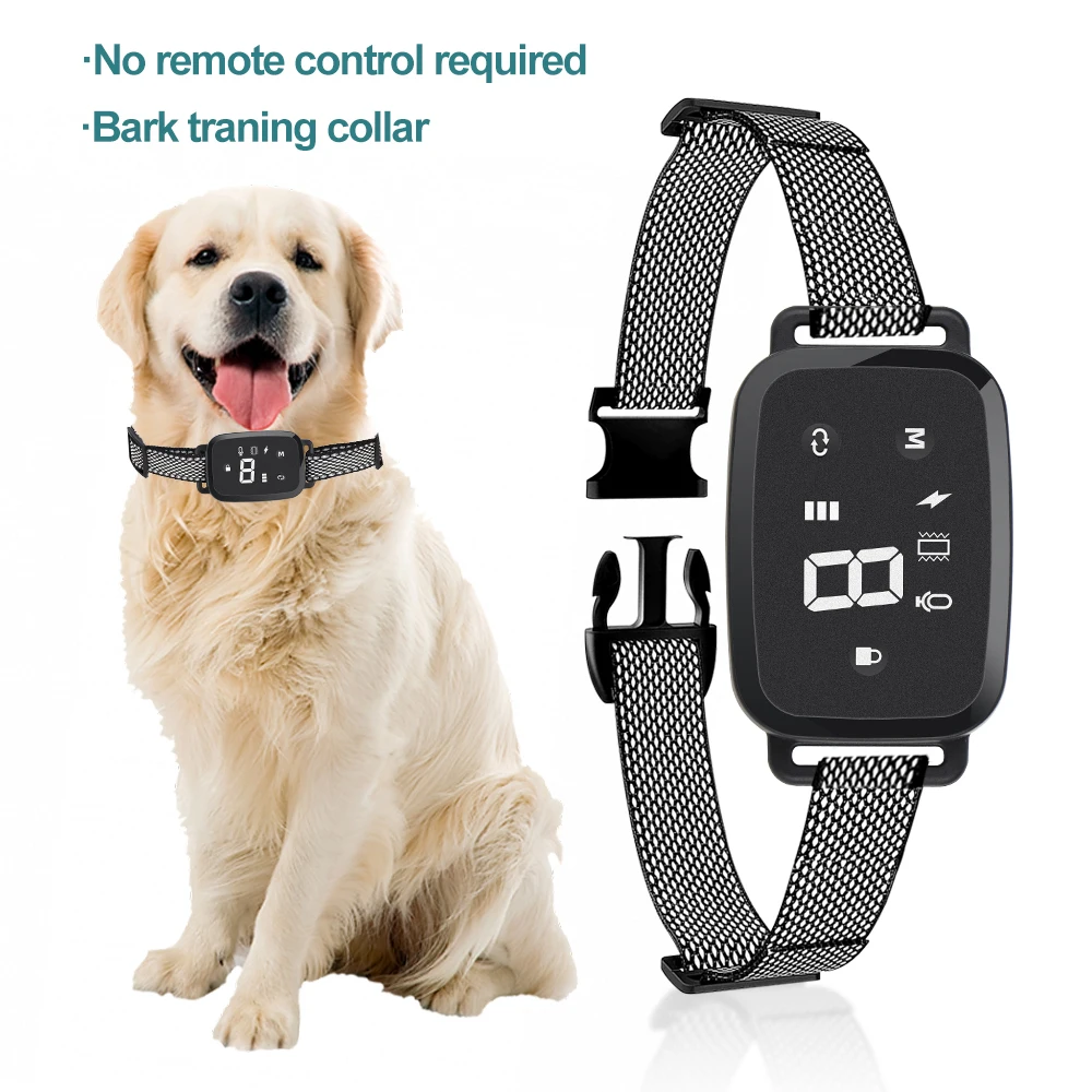 Effective Dog Training Collars Control Barking Issues