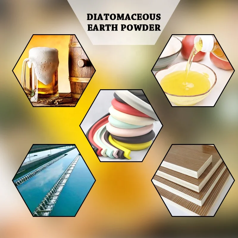 Food Grade Diatomaceous Earth Diatomite Powder Factory Supply